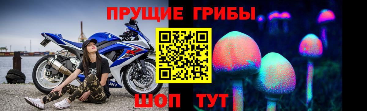 купить  цена  Галлюциногенные грибы Cubensis  Вход с VPN  Ижевск 