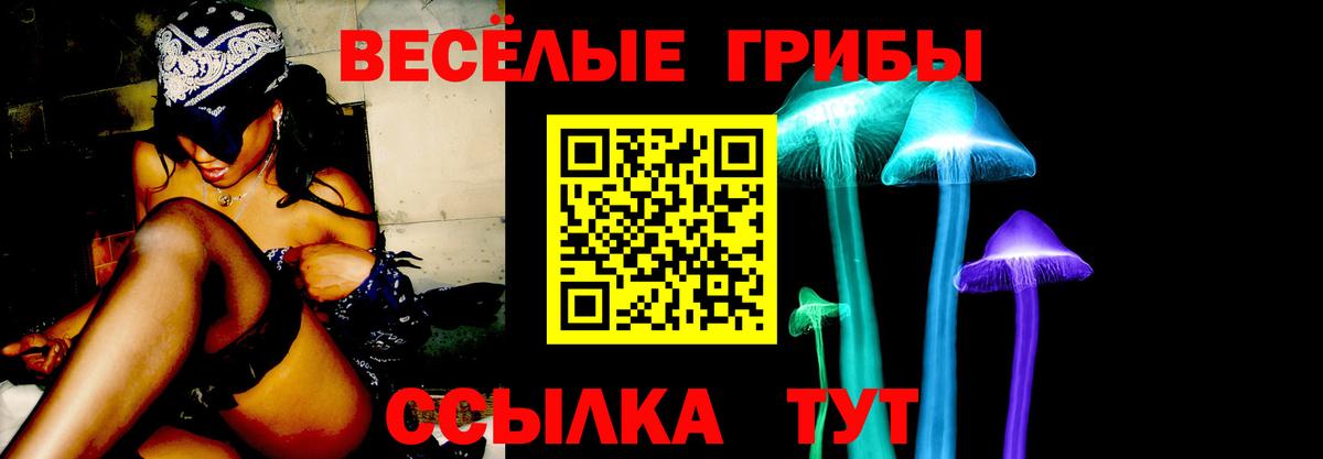 Псилоцибиновые грибы прущие грибы Ижевск